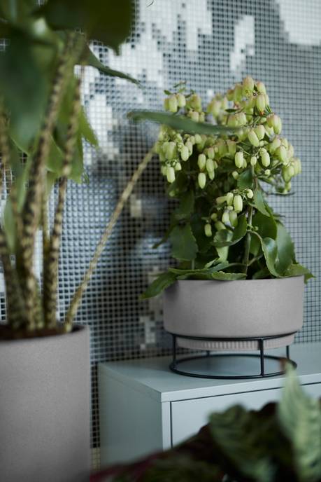 b.for studio coupe 30cm living ciment